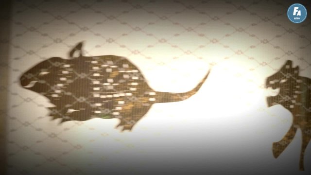 FEMME ACTUELLE - Horoscope chinois du jour du dimanche 6 mars 2022, le Cheval de Terre