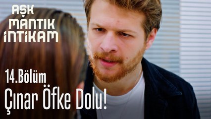 Çınar öfke dolu! - Aşk Mantık İntikam 14. Bölüm