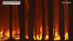 بدون تعليق: رجال الإطفاء يواصلون محاولاتهم لإخماد حريق غابات مدمر في الأرجنتين