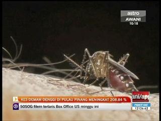 Kes demam denggi di Pulau Pinang meningkat 208.84 %