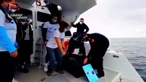 Carabinieri restituiscono al mare tartaruga marina 