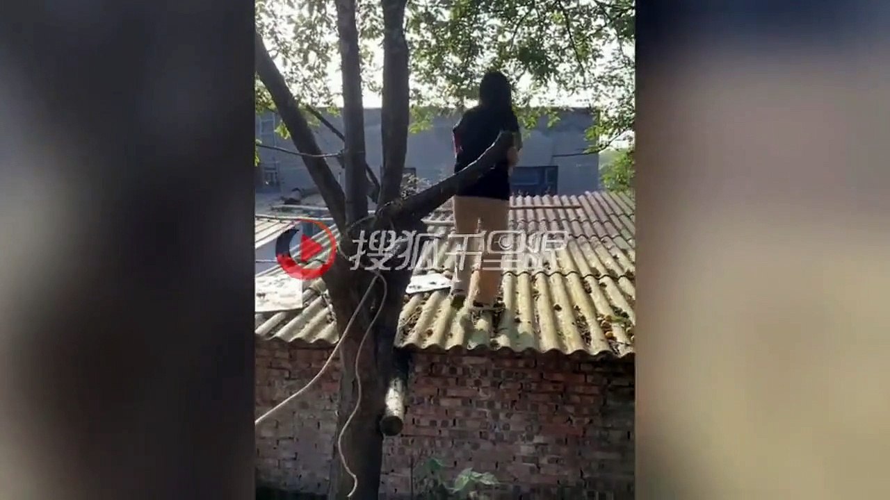 Quand tu veux à tout prix attraper un fruit dans l'arbre... raté