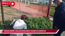 Sokak kedisi 4 bacağı kesilerek vahşice öldürüldü