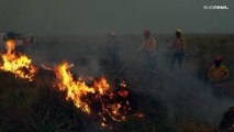 Nationalpark in Argentinien steht in Flammen