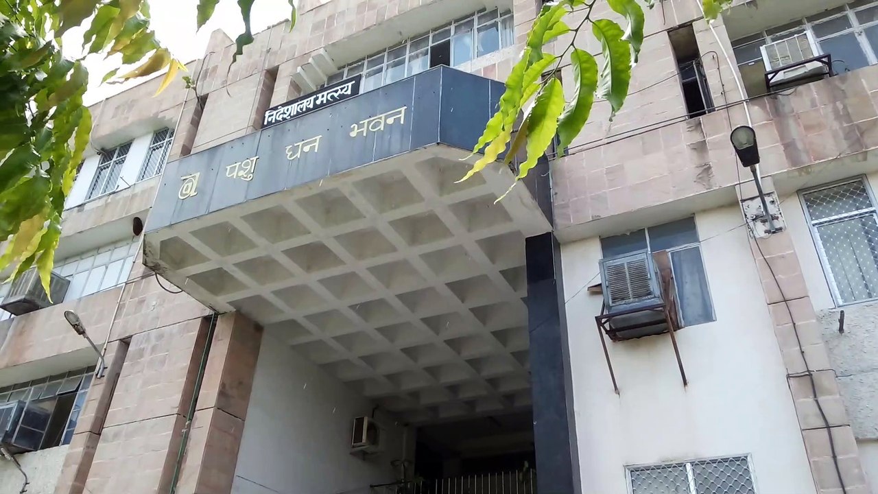 24 फरवरी को पशुपालन मंत्री के निवास पर धरना देंगे पशु चिकित्सा कर्मी
