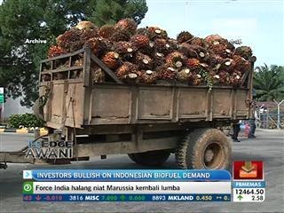 Investors bullish on Indonesian biofuel demand