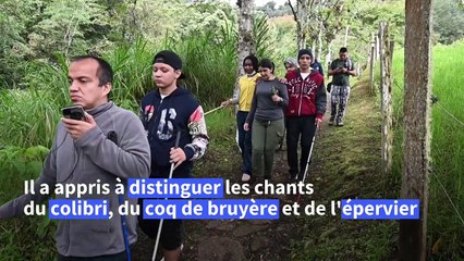 En Colombie, un "chemin sonore" pour "voir" les oiseaux avec les oreilles