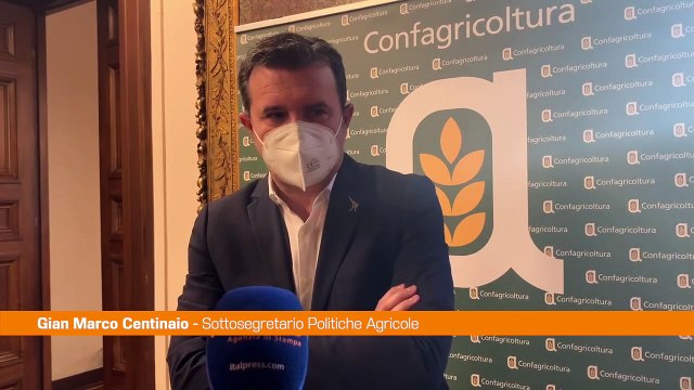 Agroalimentare, Centinaio L'Italia punti sul grano duro di qualità