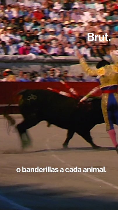 Así sufre un toro en una corrida