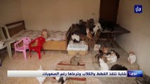 شابة سورية تنقذ القطط والكلاب وتراعها رغم الصعوبات