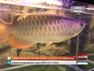 Galeri akuakultur rancakkan lagi industri perikanan