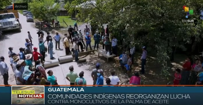 teleSUR Noticias 15:30 21-02: Guatemala: Indígenas protestan contra monocultivos de la palma de aceite