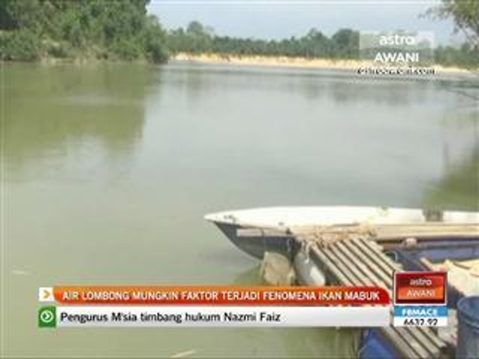Air lombong mungkin faktor terjadi fenomena ikan mabuk