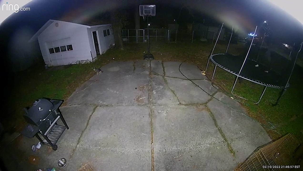 Neighborhood Shooting Interrupts Trampoline Session