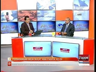 Persidangan meja bulat Asia Pasifik ke-29