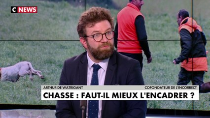 Arthur de Watrigant : «Du point de vue de la chasse, on a besoin de régularisation»