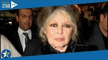 Brigitte Bardot : après avoir soutenu Éric Zemmour, elle lui tombe dessus !