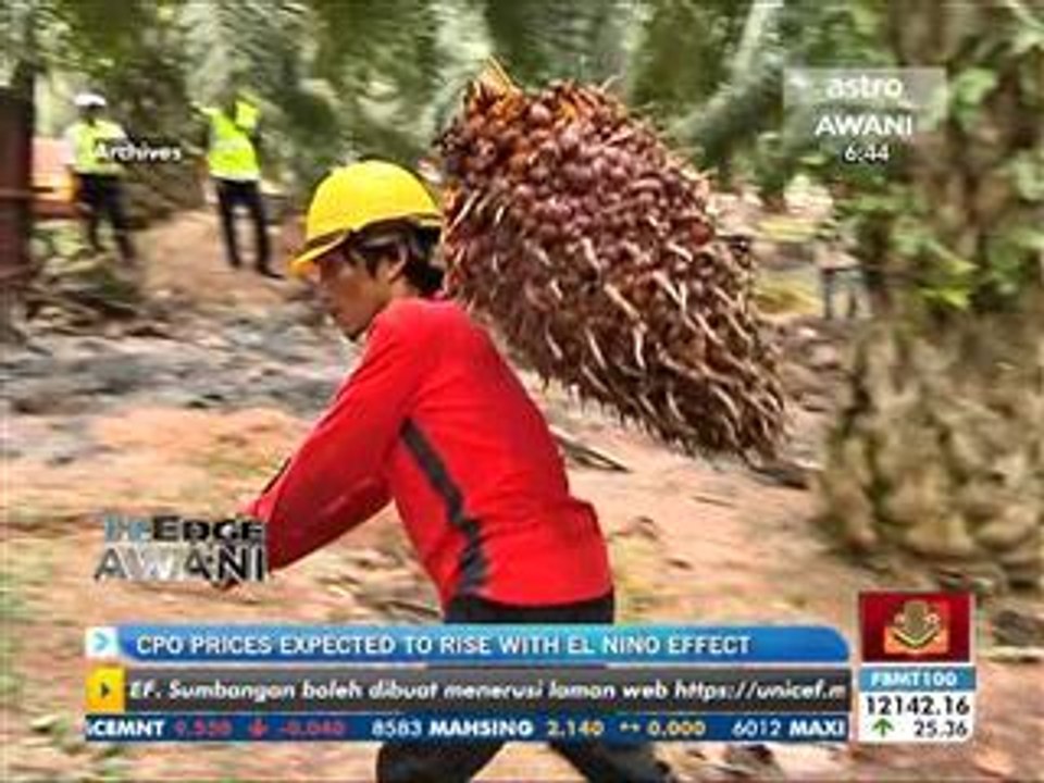 CPO prices expected to rise with El Nino effect