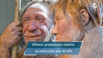 Variante genética heredada de neandertales podría ser la causante del Covid grave