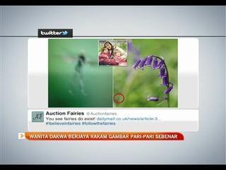 Wanita dakwa berjaya rakam gambar pari-pari sebenar