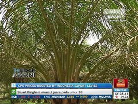 CPO prices boosted by Indonesia export levies