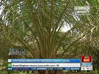 CPO prices boosted by Indonesia export levies