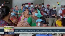 Comunidades indígenas de Guatemala denuncian empresas de monocultivo