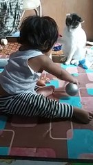 Bermain dengan kucing