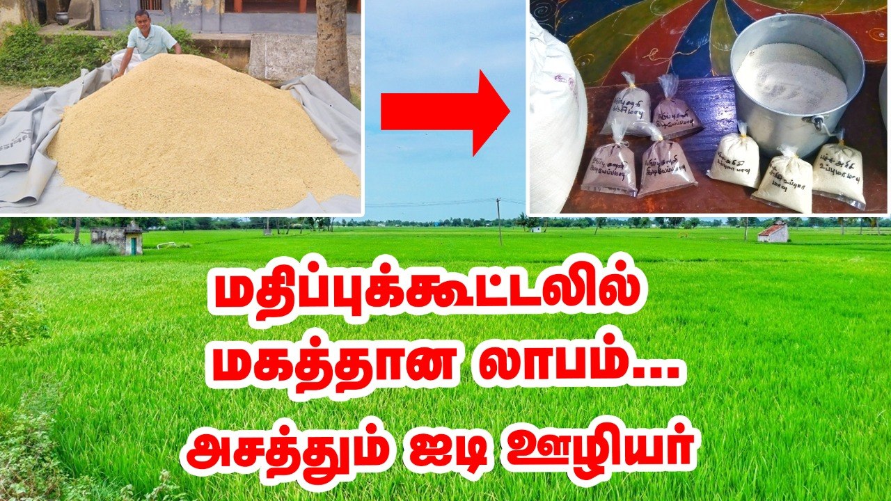 "விளைவிக்கிறது மட்டுமில்லை;  விற்பனையும்  ரொம்ப முக்கியம்!" மதிப்புக்கூட்டலில் கலக்கும் IT ஊழியர்