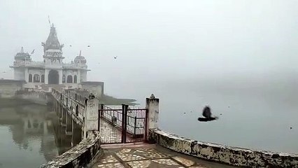 पक्षीविद् महेश चन्द्र नवहाल बोले, तालाब बचेंगे तो हम पक्षियों को बचा पाएंगे