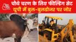 The issue of bull and bulldozer intensifies in UP Polls