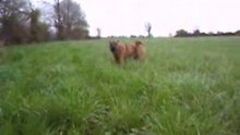 Boubilou le fou!