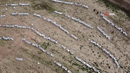 Adana'da 2 günde binlerce arı telef oldu