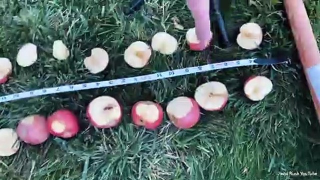 هوايات من عالم آخر: محطم أرقام غينيس القياسية