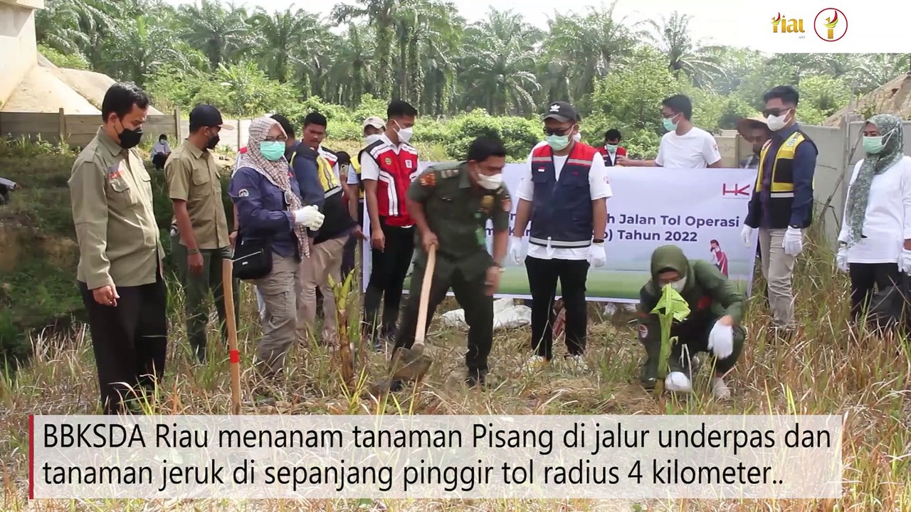 BBKSDA Riau bersama PT. Hutama Karya Menanam SejumlahTanaman Di Jalur Perlintasan Gajah Kilometer 72 !!