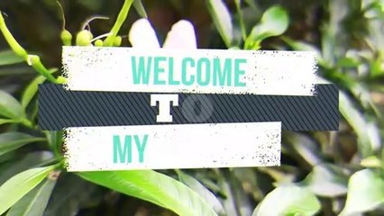 The annual tax reporting tutorials for personal,up to date___LAPOR SPT TAHUNAN ORANG PRIBADI TERBARU