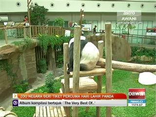 Zoo negara beri tiket percuma hari lahir panda