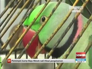 Burung kakak tua 'ditahan' polis kerana mencarut