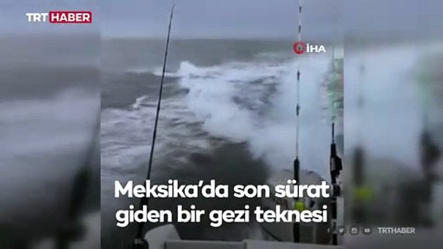 Meksika’da katil balina tekneyi kovaladı