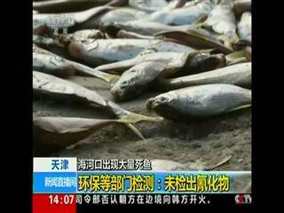 Thousands of dead fish wash up near Tianjin blast site