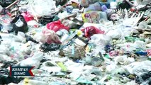 Proyek Tanggul Laut di Kali Baru Dikepung Sampah: Permukaan Air Tak Lagi Terlihat, Hanya Sampah