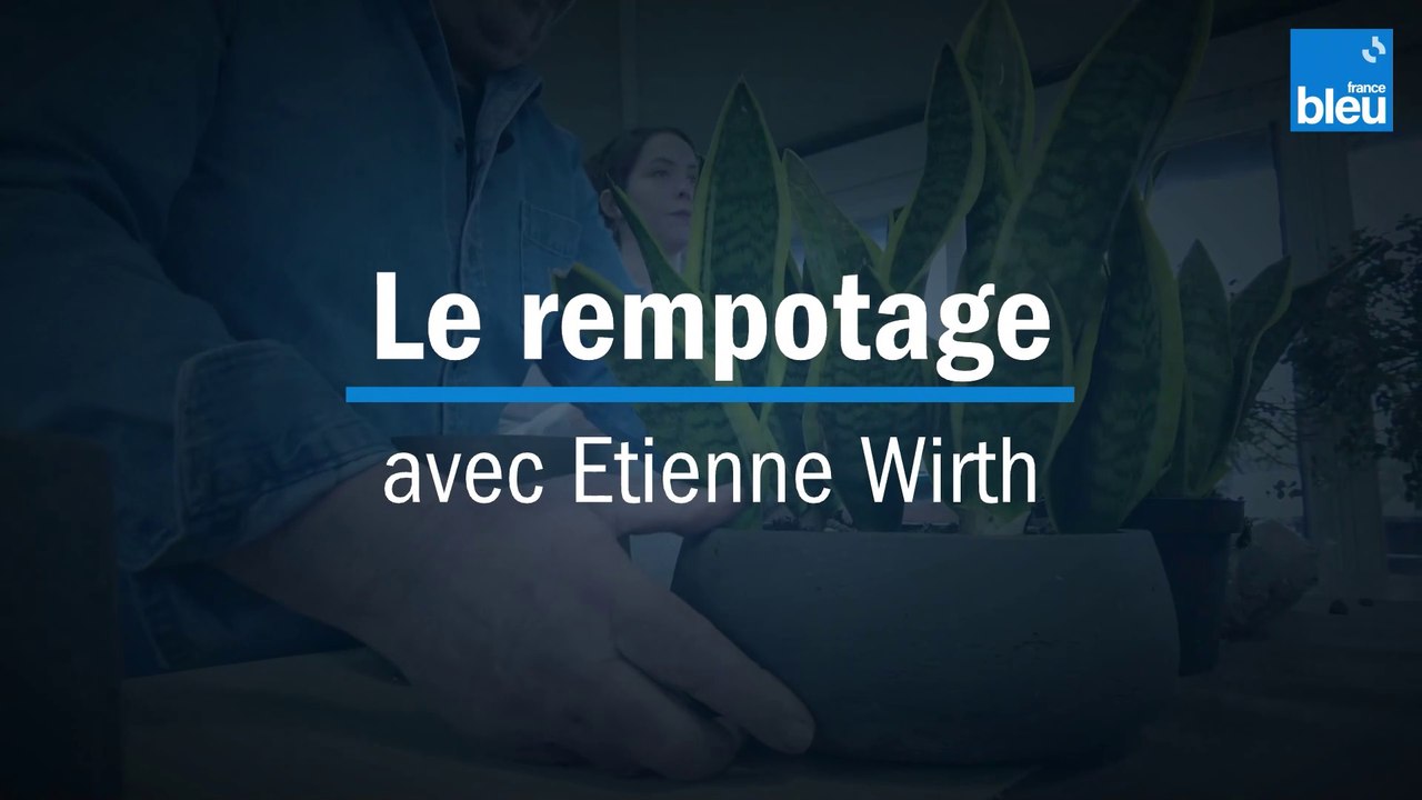 Le rempotage - avec Etienne Wirth