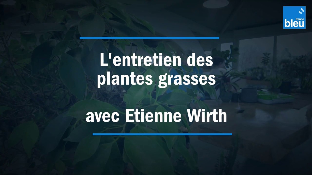 L'entretien des plantes grasses - avec Etienne Wirth