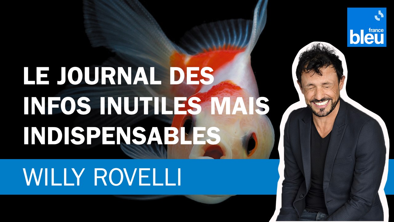 Le journal des infos inutiles mais indispensables - Le billet de Willy Rovelli