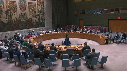 واشنطن وحلفاؤها ينددون بأعمال روسيا خلال جلسة طارئة لمجلس الأمن الدولي حول أوكرانيا