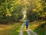 Lebensgefahr! Deshalb solltest du nicht in den Wald gehen