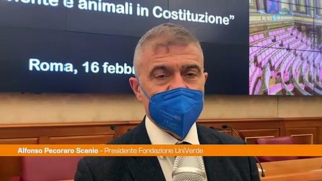 Pecoraro Scanio Ambiente in Costituzione, le leggi si adeguino