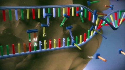 PARINAMAM പരിണാമം EVOLUTION YUKTHIVADI FREETHINKERS YUKTHIVADAM ATHEIST KERALA SCIENTIFIC MALAYALAM