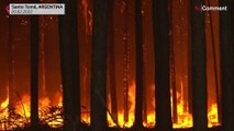 تصاویری از آتش سوزی در بزرگترین تالاب آرژانتین