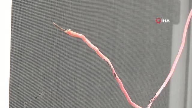 Ölümden dönen kiracı ev sahibini, ev sahibi ise kiracıyı suçladı